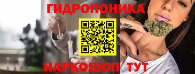 a pvp Новозыбков