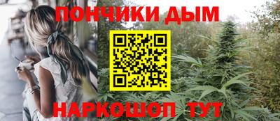a pvp Новозыбков