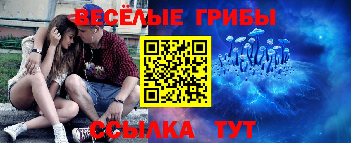 Галлюциногенные грибы мухоморы Салехард